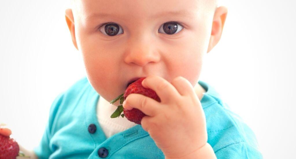 Baby hält eine Erdbeere in der Hand und probiert selbstständig zu essen